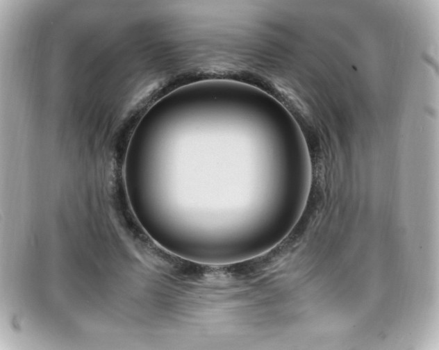 X0000099470591200805091549