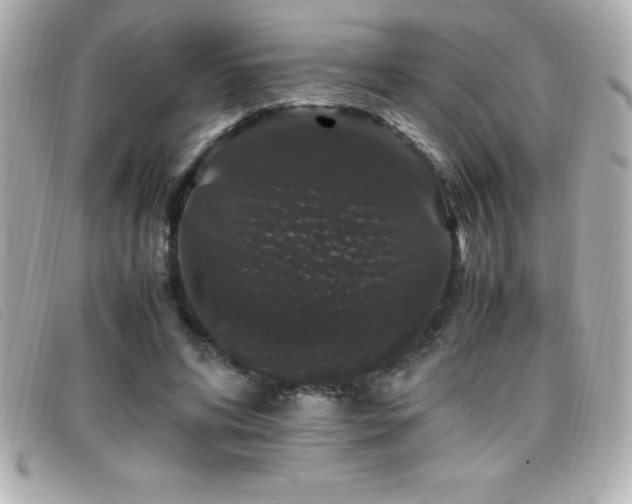 X0000099470592200805091549