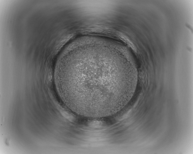 X0000099470593200805091549