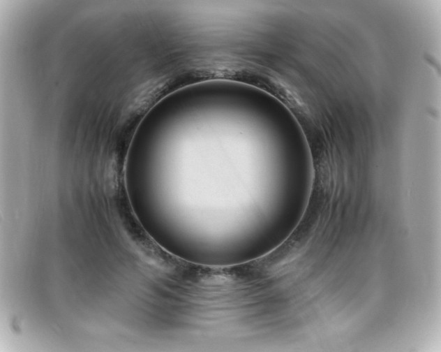 X0000099470594200805091549