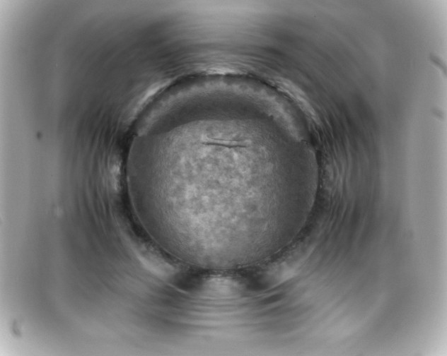 X0000099470596200805091549
