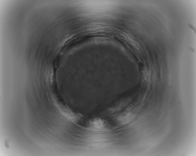X0000099470600200805091549