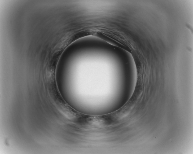X0000099470601200805091549