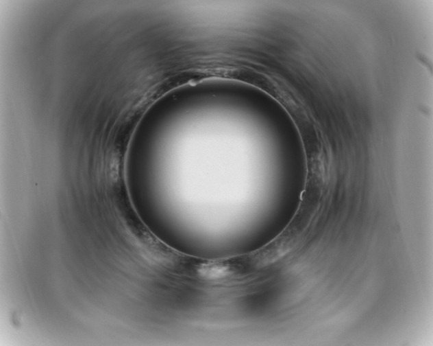 X0000099470602200805091549