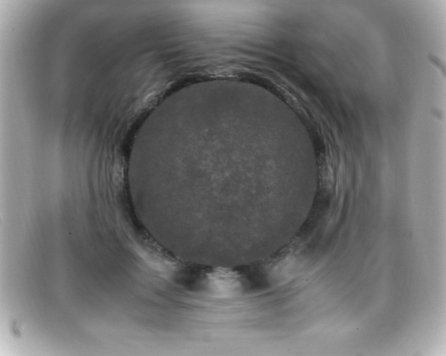 X0000099470603200805091549