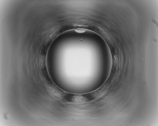 X0000099470605200805091549