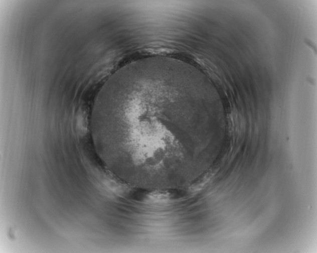X0000099470606200805091549
