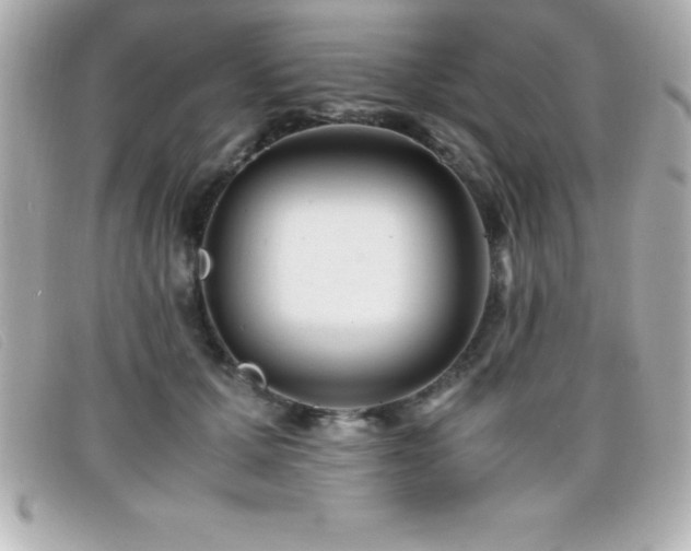 X0000099470607200805091549