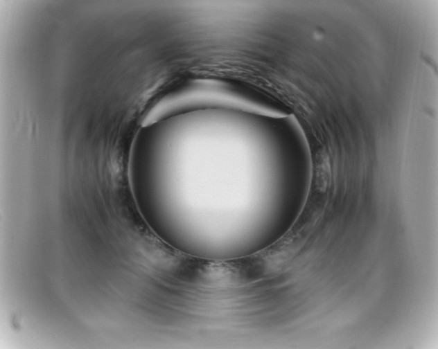X0000099470608200805091549