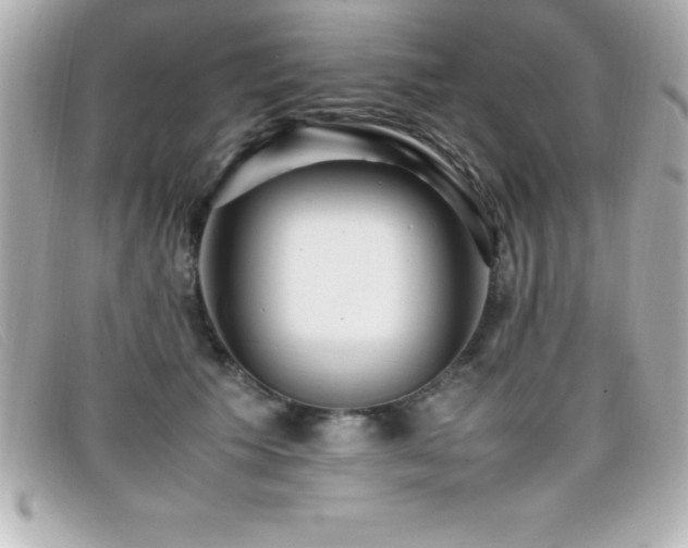 X0000099470609200805091549