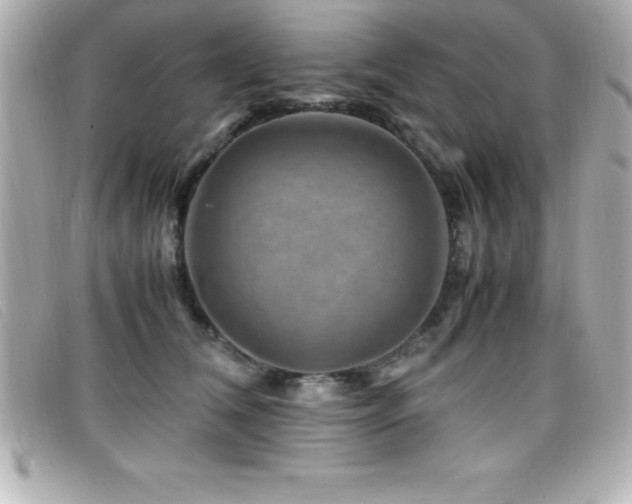 X0000099470612200805091548