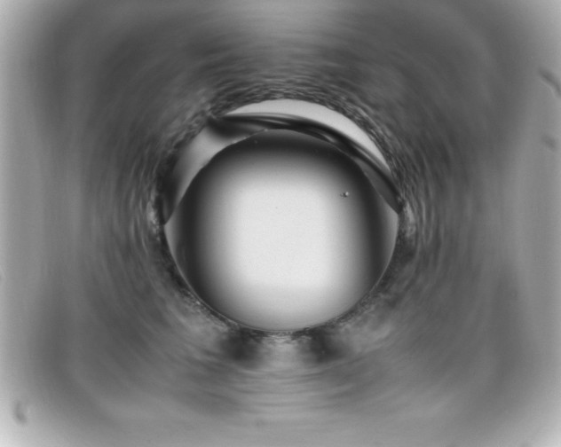X0000099470613200805091548