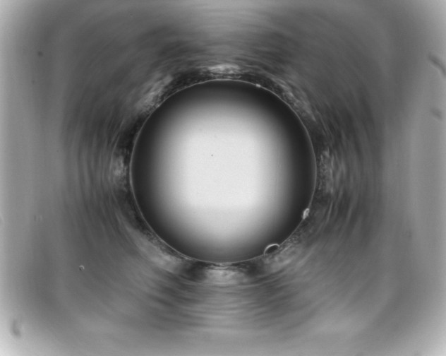 X0000099470614200805091548