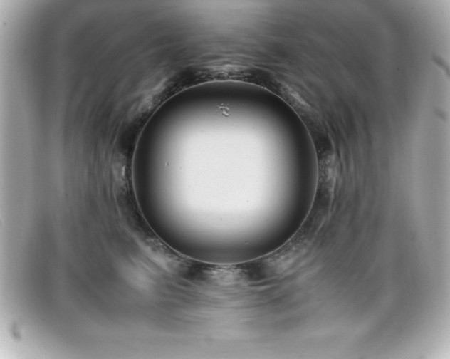 X0000099470615200805091548