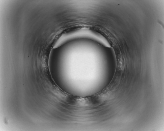 X0000099470616200805091548