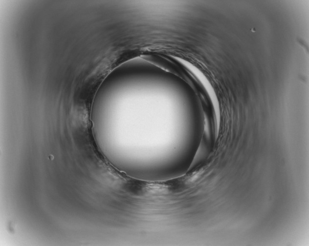 X0000099470617200805091548
