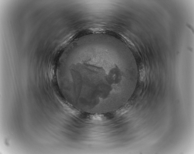 X0000099470618200805091548