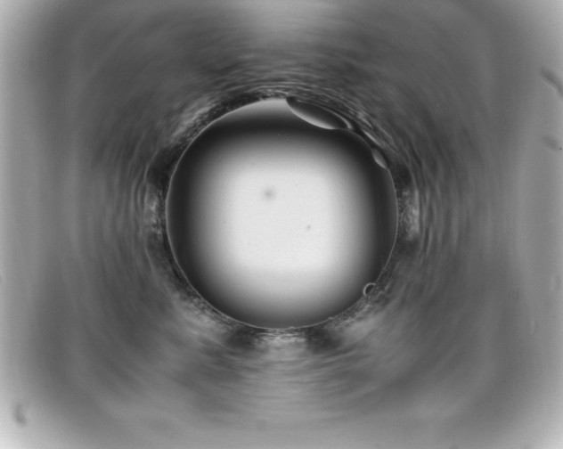 X0000099470619200805091548