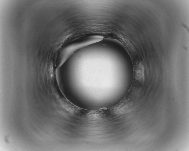 X0000099470620200805091548