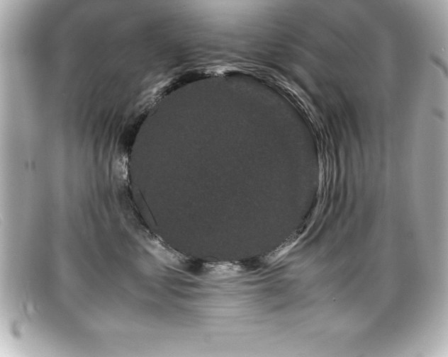 X0000099470621200805091548