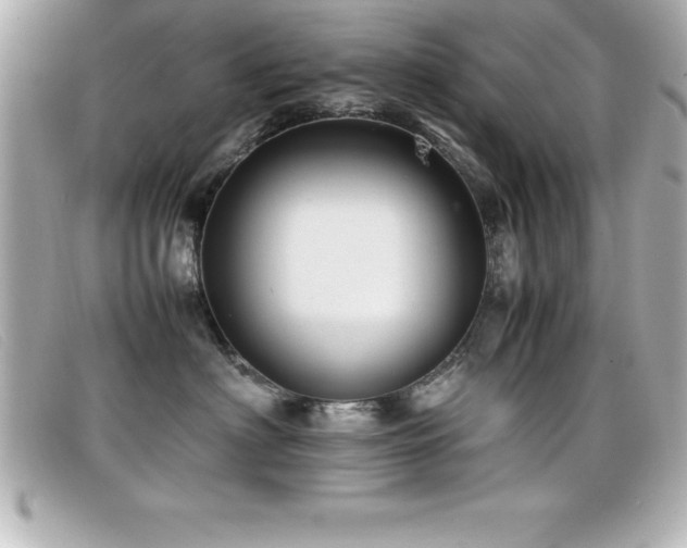 X0000099470622200805091548