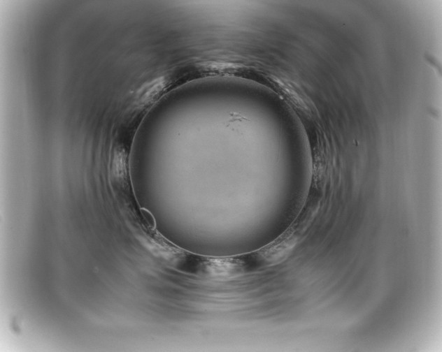X0000099470623200805091548