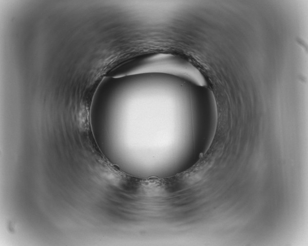 X0000099470624200805091548