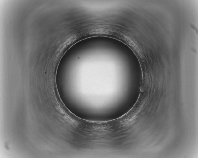 X0000099470625200805091548