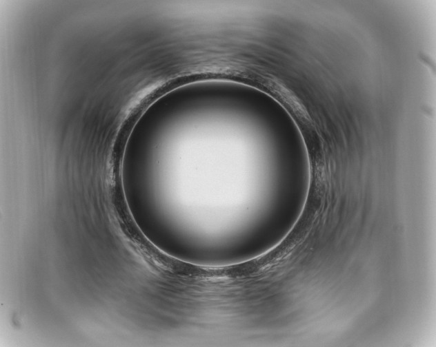 X0000099470628200805091548