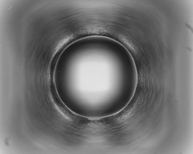 X0000099470630200805091548