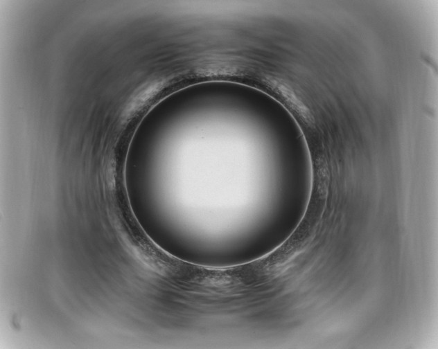 X0000099470631200805091548