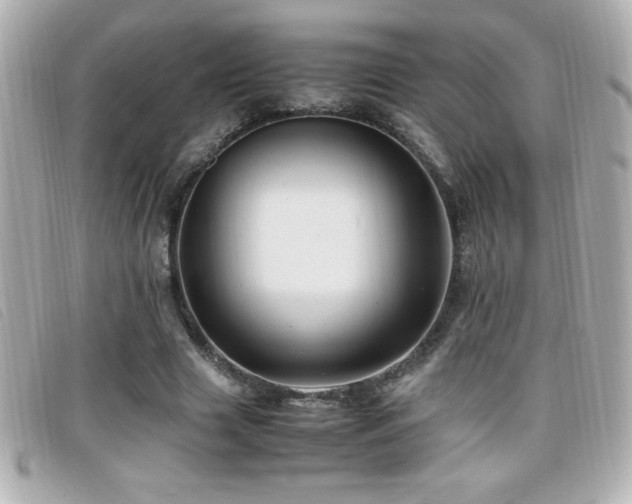 X0000099470633200805091548