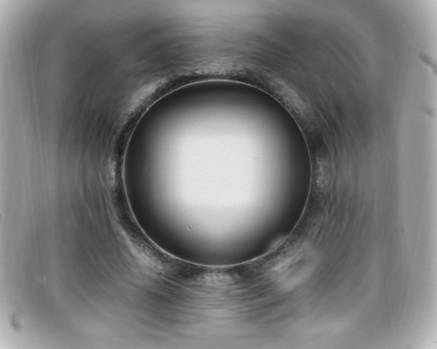 X0000099470636200805091548