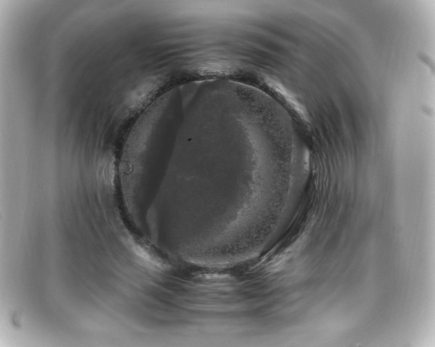 X0000099470637200805091548