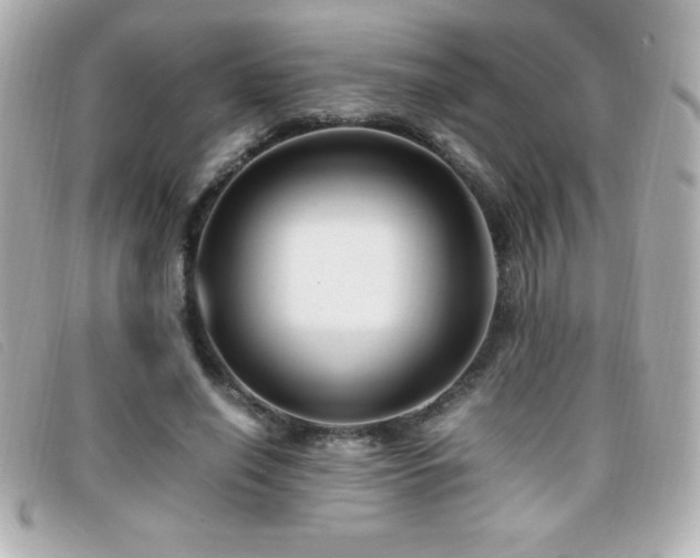 X0000099470638200805091548