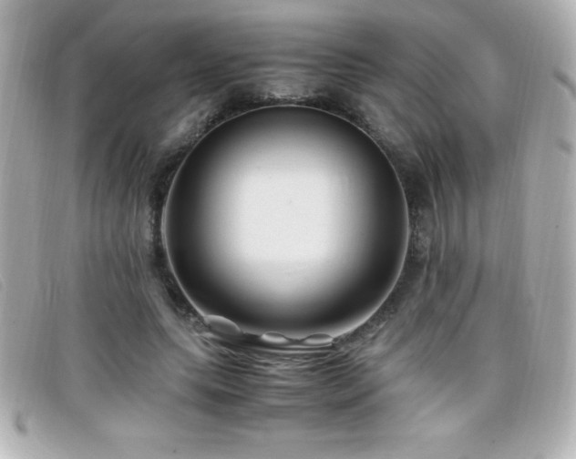 X0000099470639200805091548