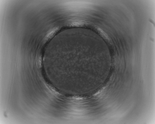 X0000099470640200805091548