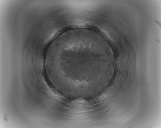 X0000099470642200805091548