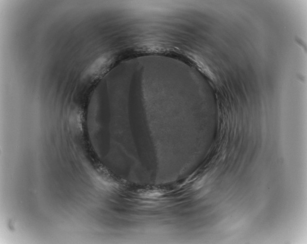 X0000099470643200805091548