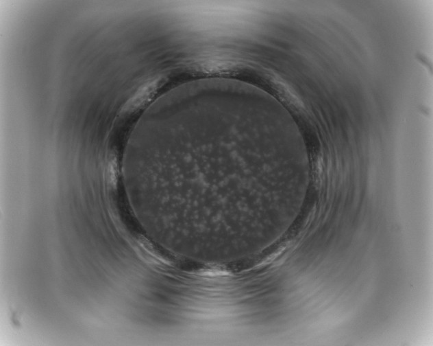 X0000099470644200805091548