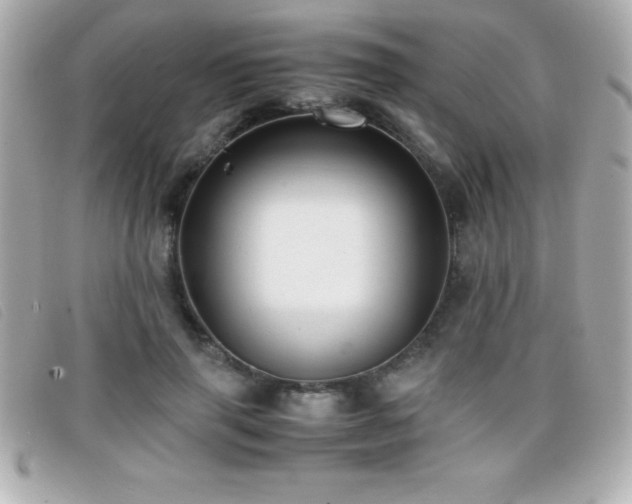 X0000099470645200805091548