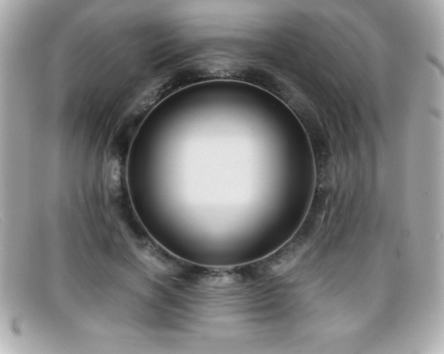 X0000099470646200805091548