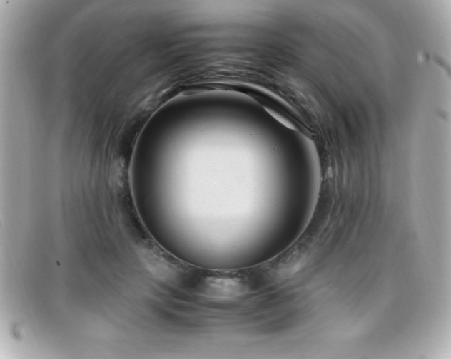 X0000099470649200805091548