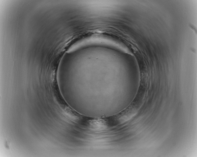 X0000099470652200805091548