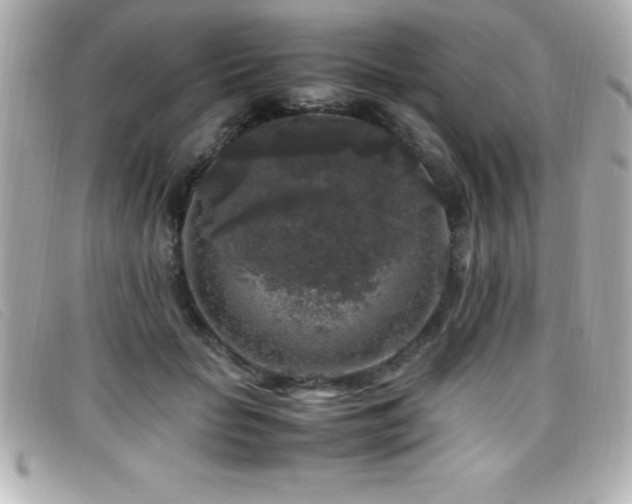 X0000099470653200805091548