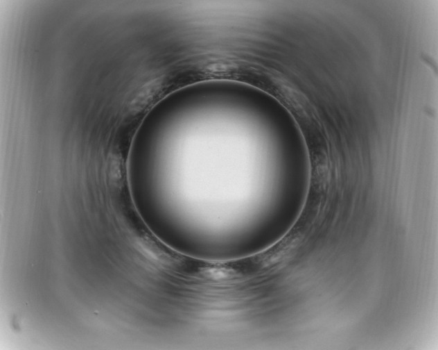 X0000099470654200805091548