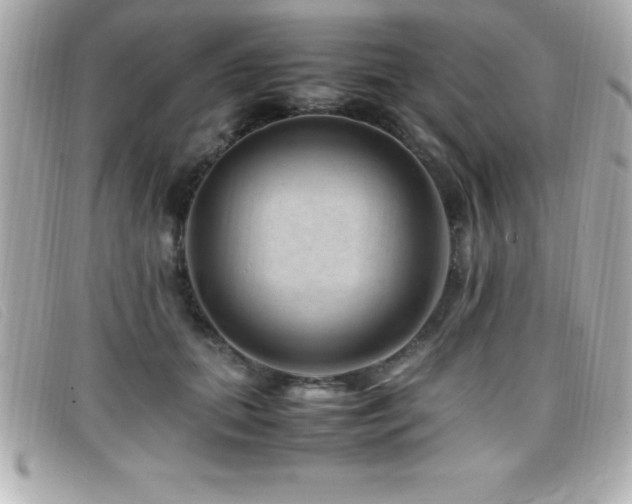 X0000099470655200805091548