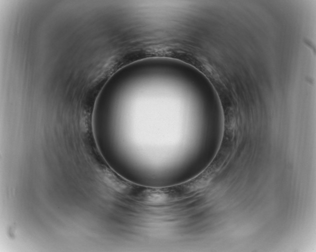 X0000099470658200805091548