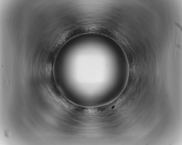 X0000099470660200805091548