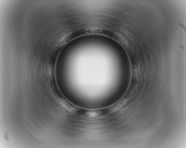 X0000099470662200805091548